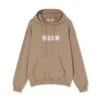 Hooded Sweatshirt Wiht Logo