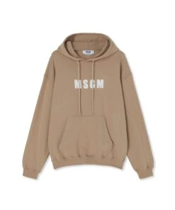 Hooded Sweatshirt Wiht Logo
