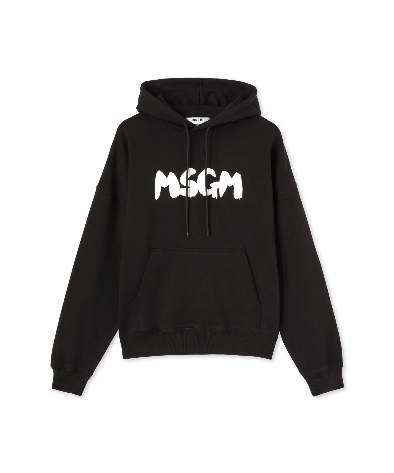Hooded Sweatshirt With New Brushstroke Logo